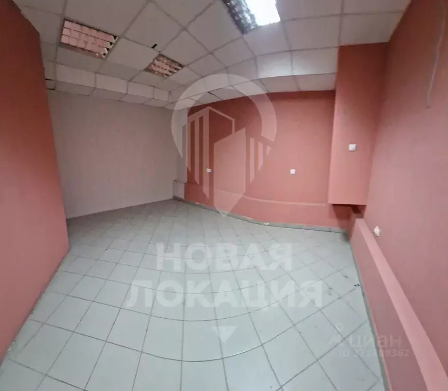 Торговая площадь в Омская область, Омск ул. Ядринцева, 24 (20 м) - Фото 1