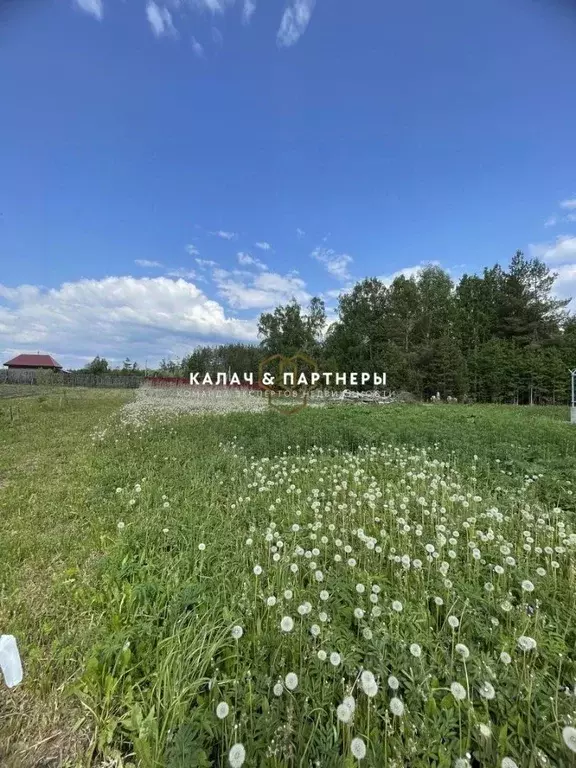 Участок в Свердловская область, Полевской муниципальный округ, с. ... - Фото 1