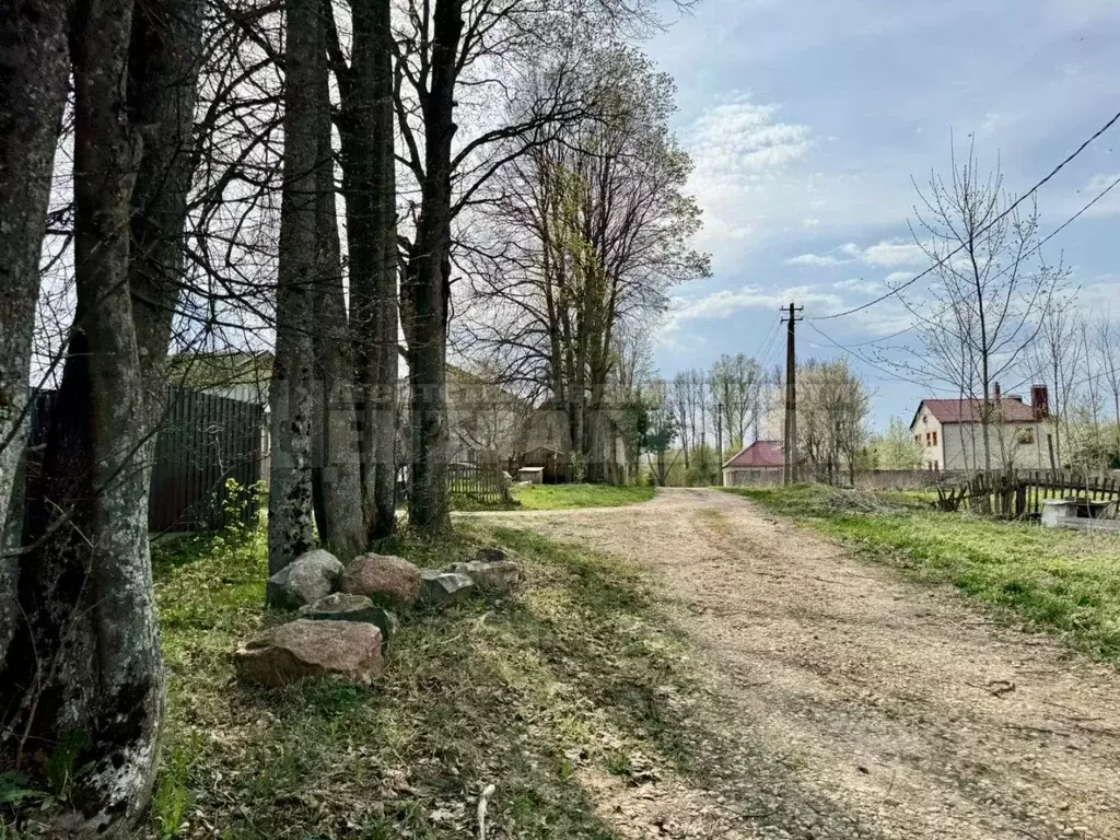 Участок в Смоленская область, Смоленский муниципальный округ, д. ... - Фото 2