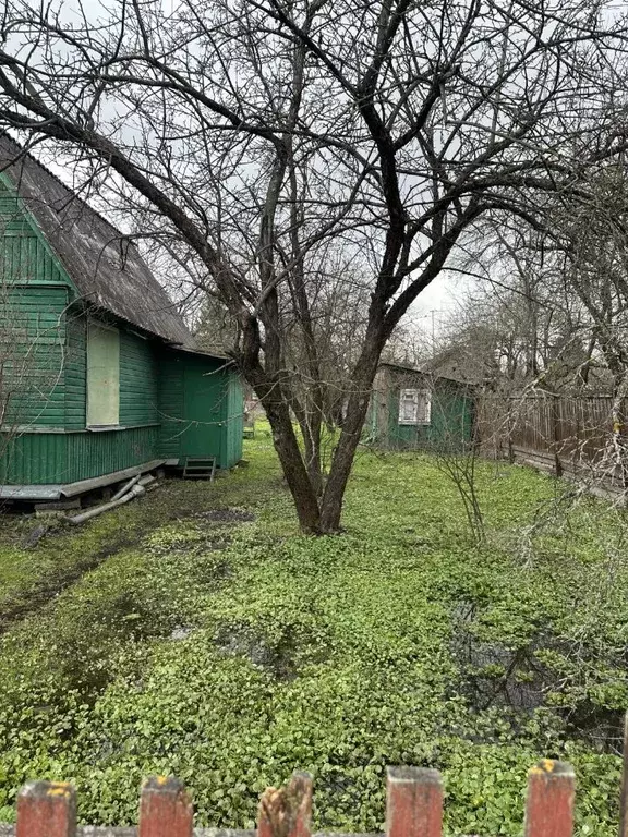 Участок в Московская область, Домодедово Новое Заборье СНТ, 6-я линия ... - Фото 1