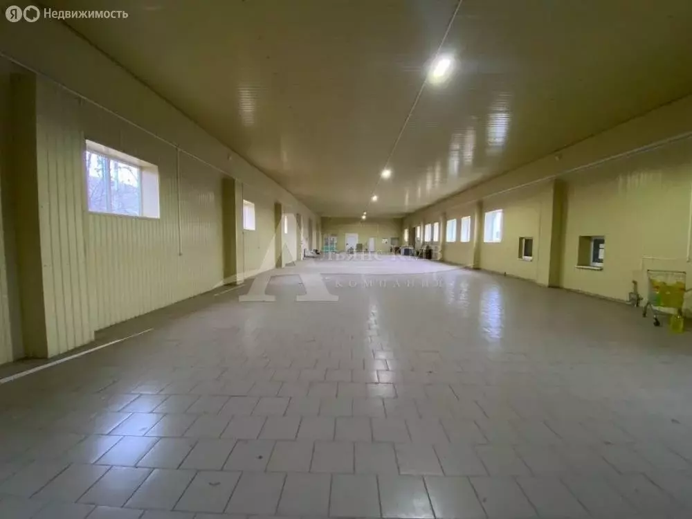 Помещение свободного назначения (784 м) - Фото 2