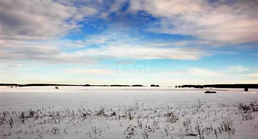 Участок в Архангельская область, Котласский муниципальный округ, ... - Фото 1
