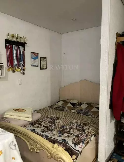 Студия Алтай, Майминский район, с. Майма ул. Строителей, 5 (28.0 м) - Фото 2