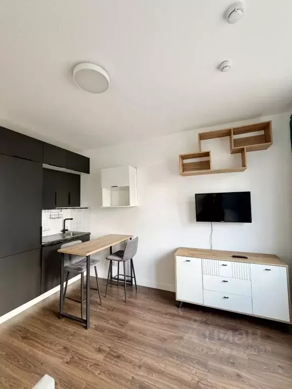 Студия Санкт-Петербург просп. Крузенштерна, 4 (21.0 м) - Фото 1