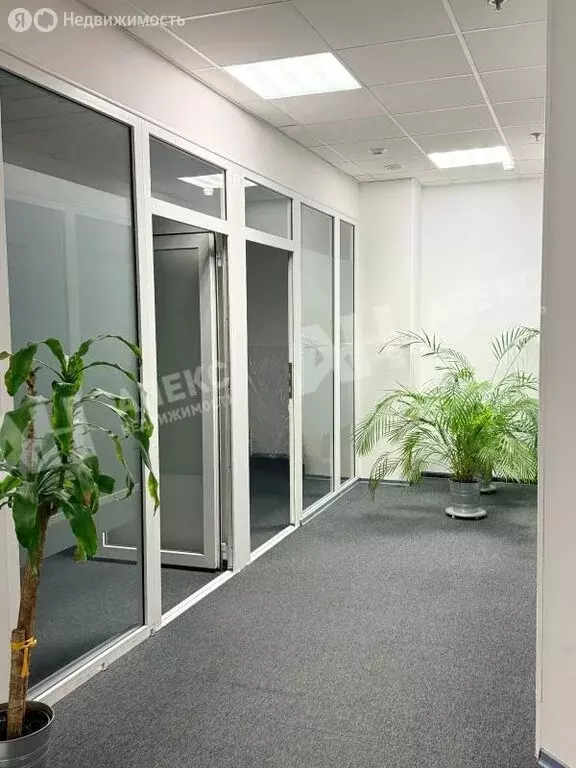 Офис (126 м) - Фото 2