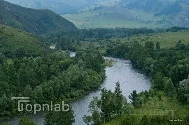 Участок в Алтайский край, Краснощековский район, Чинетинский ... - Фото 2