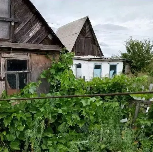 Участок в Оренбургская область, Оренбургский район, Экспериментальный ... - Фото 2