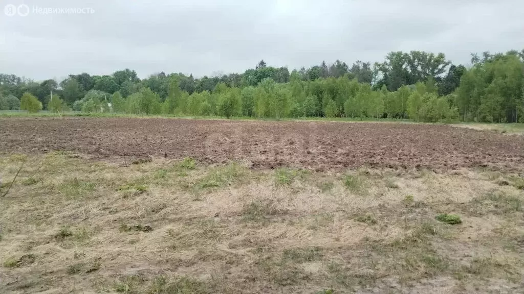 Участок в Тульская область, городской округ Тула, посёлок Октябрьский ... - Фото 1