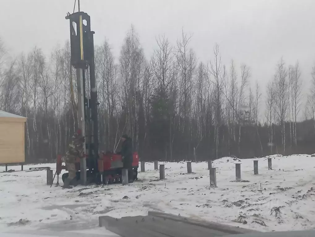 Участок в Московская область, Богородский городской округ, Олимп СНТ  ... - Фото 1