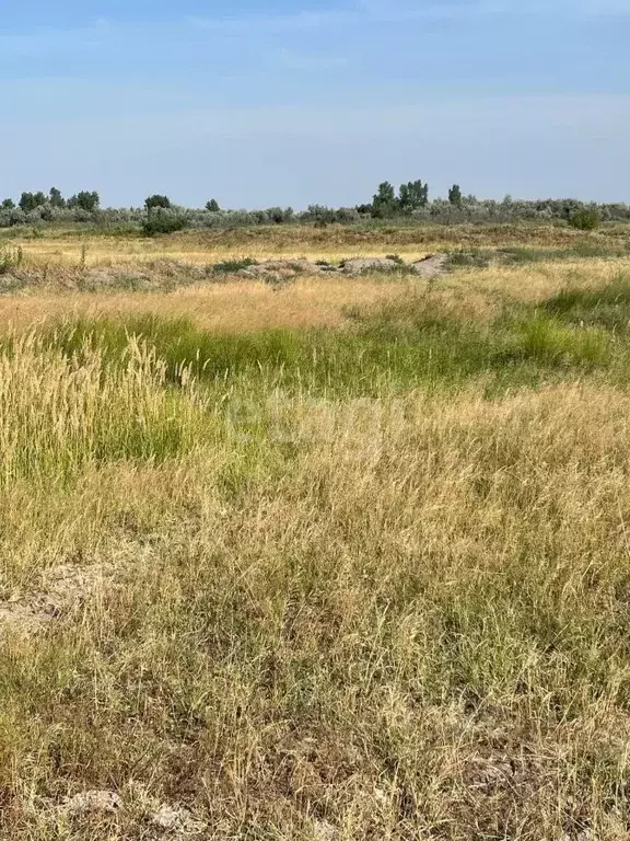 Участок в Ростовская область, Азовский район, Елизаветинское с/пос, ... - Фото 1