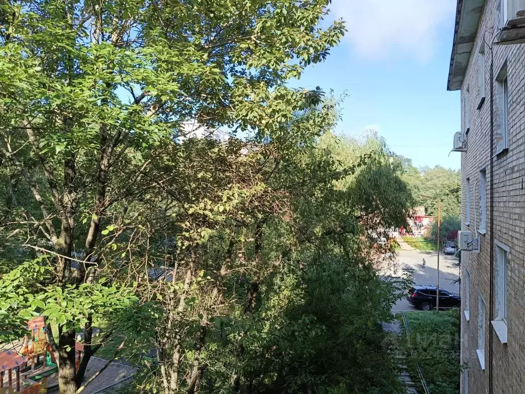 3-к кв. Приморский край, Владивосток Черемуховая ул., 4А (59.7 м) - Фото 2