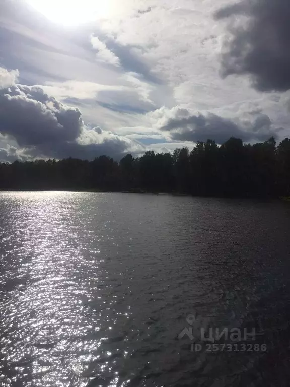 Коттедж в Ленинградская область, Всеволожский район, Куйвозовское ... - Фото 2