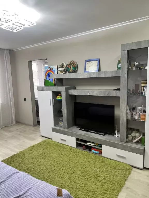 3-к кв. Челябинская область, Челябинск Солнечная ул., 12 (54.9 м) - Фото 2