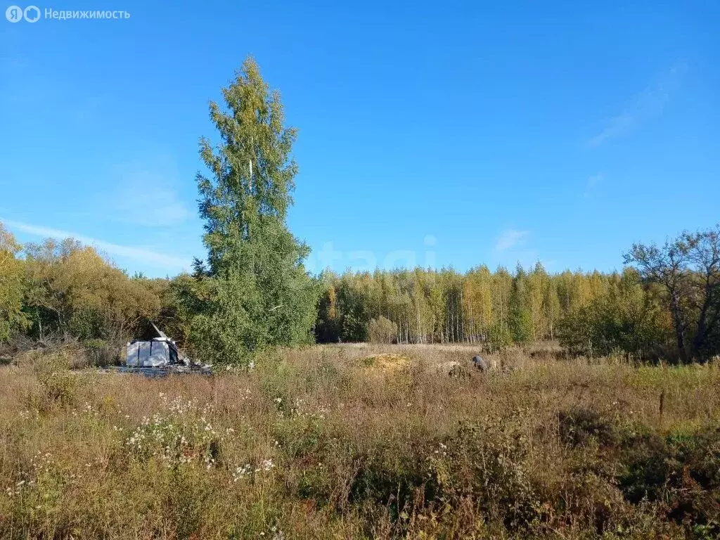 Участок в Задонский район, Рогожинский сельсовет, село Рогожино (15 м) - Фото 1