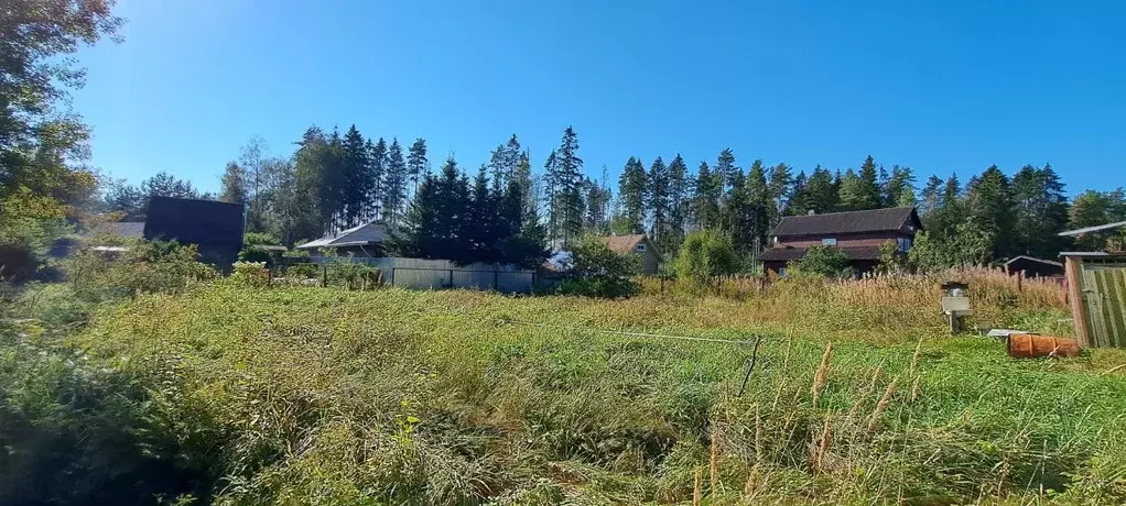 2-к кв. Ленинградская область, Выборгский район, Рощино пгт ул. Южная, ... - Фото 1