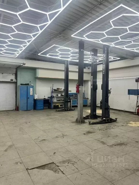 Помещение свободного назначения в Москва Большая Филевская ул., 3с1А ... - Фото 1