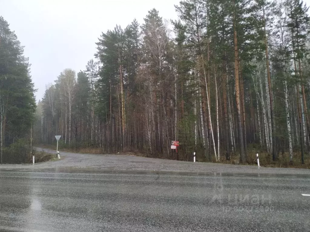 Участок в Свердловская область, Белоярский городской округ, пос. ... - Фото 0