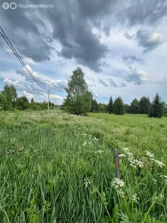 Участок в Пасеговское сельское поселение, село Трёхречье, Центральная ... - Фото 1