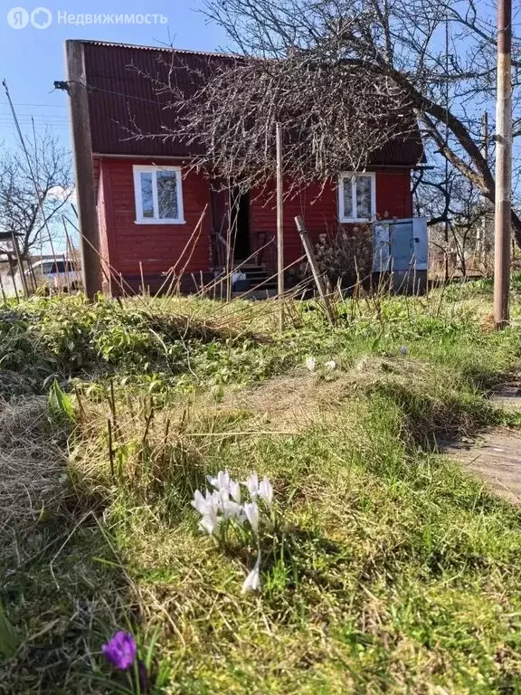 Дом в Мшинское сельское поселение, садоводческий массив Дивенская, СНТ ... - Фото 2
