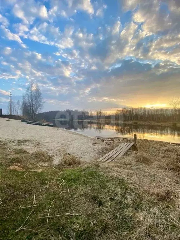 Участок в Костромская область, Красносельский район, Сидоровское ... - Фото 2