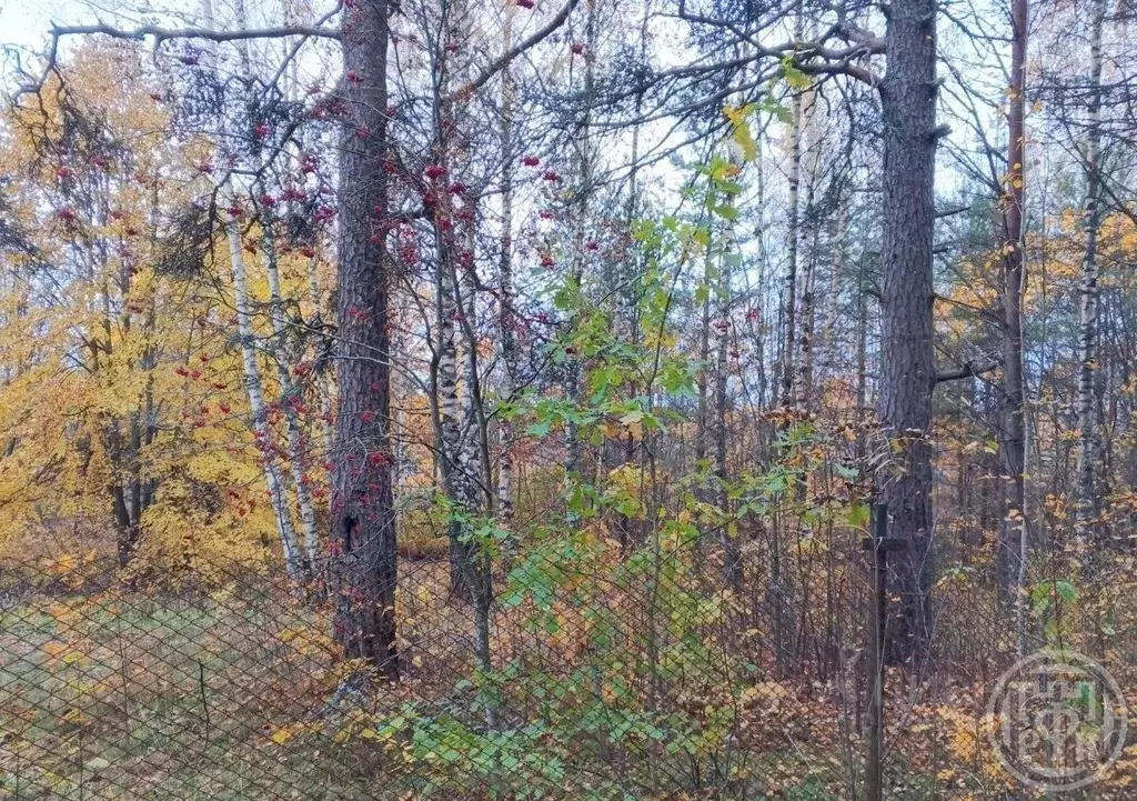 Участок в Ленинградская область, Выборгский район, Полянское с/пос, ... - Фото 2