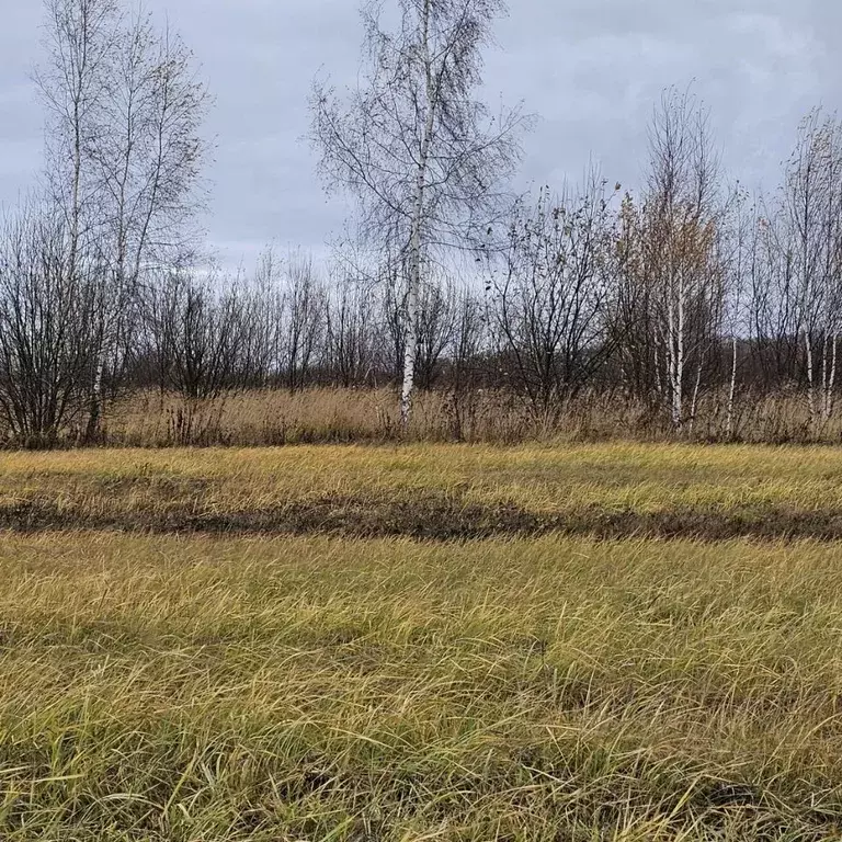 Участок в Московская область, Луховицы муниципальный округ, д. Солчино ... - Фото 1