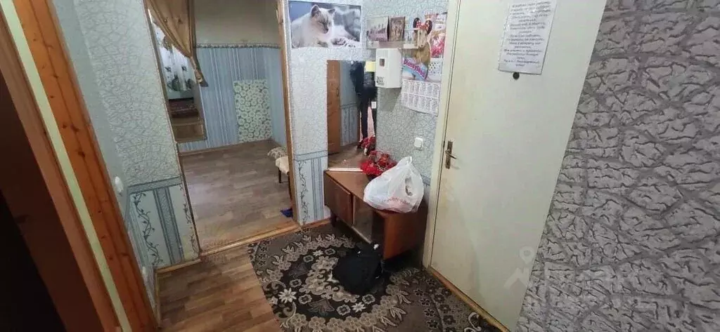 1-к кв. Краснодарский край, Ейск Красная ул., 53/5к4 (49.9 м) - Фото 2