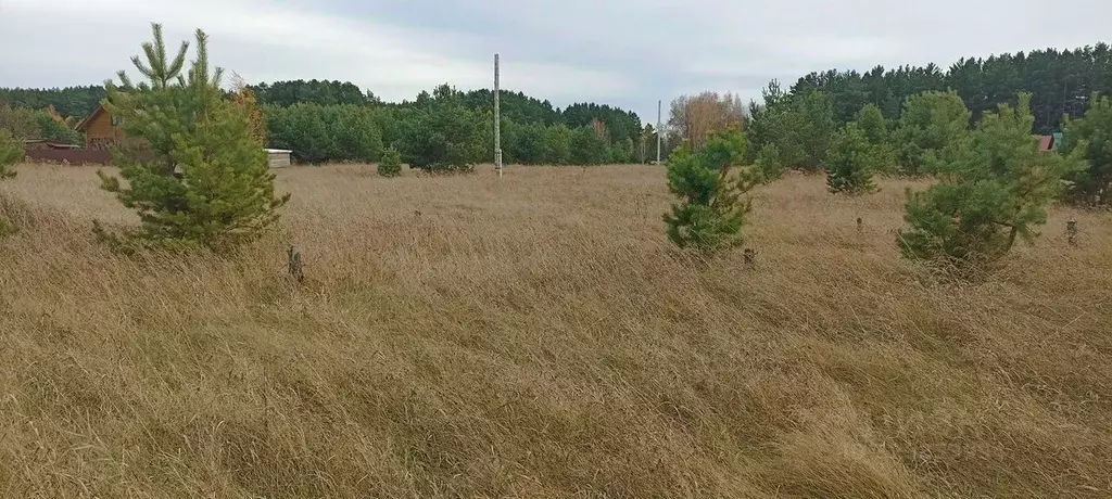 Участок в Новосибирская область, Ордынское рп, Виктория СНТ  (12.0 ... - Фото 1