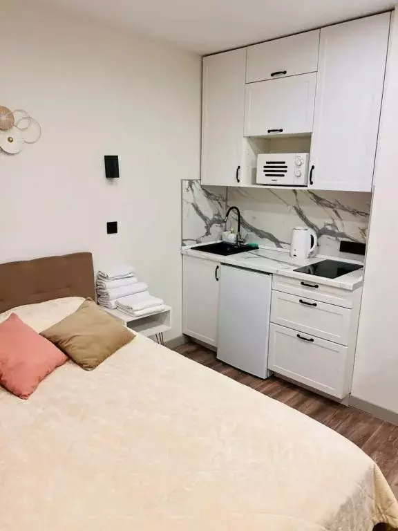 1-к кв. Москва Ленинский просп., 158 (20.0 м) - Фото 2