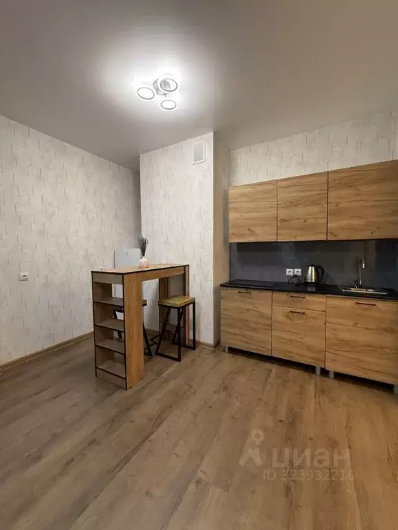 Студия Ивановская область, Иваново Лежневская ул., 213 (24.8 м) - Фото 1