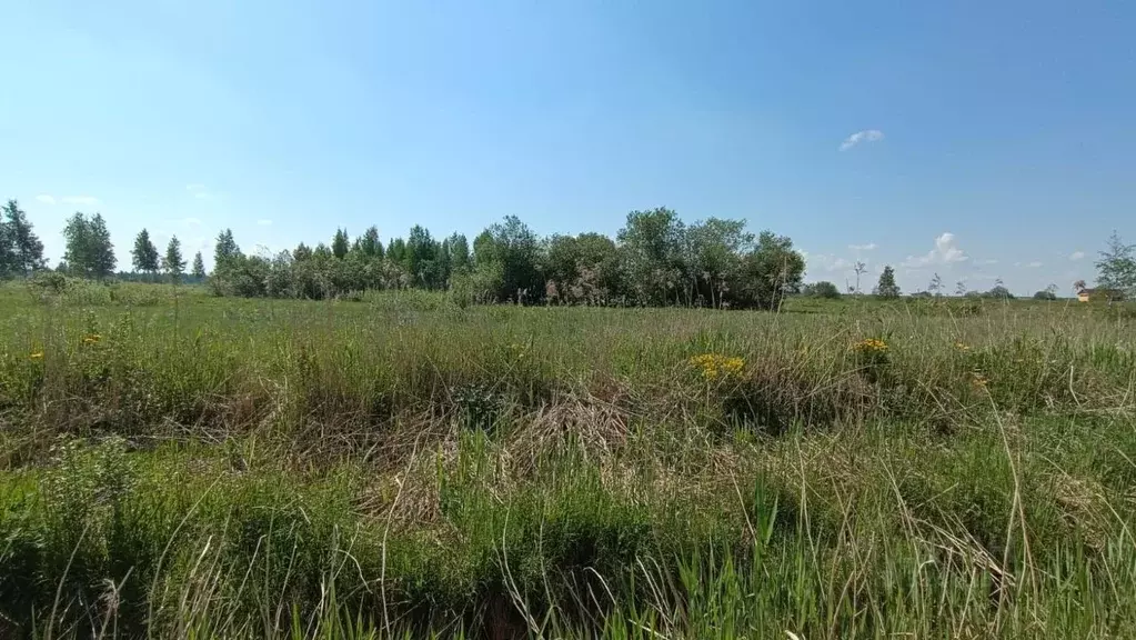 Участок в Ленинградская область, Гатчинский муниципальный округ, пос. ... - Фото 1