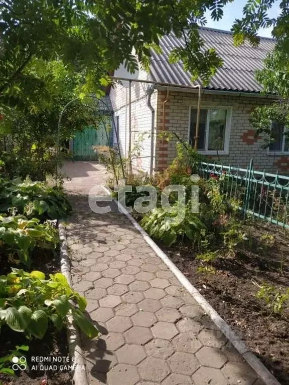 Дом в Белгородская область, Вейделевский район, пос. Викторополь ул. ... - Фото 0