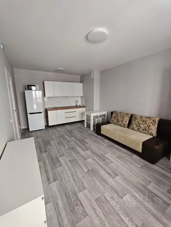 Студия Новосибирская область, Новосибирск ул. Титова, 251/1 (25.7 м) - Фото 1