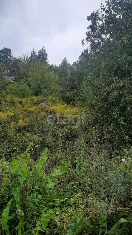 Участок в Томская область, Томск Возрождение садовое товарищество,  ... - Фото 0