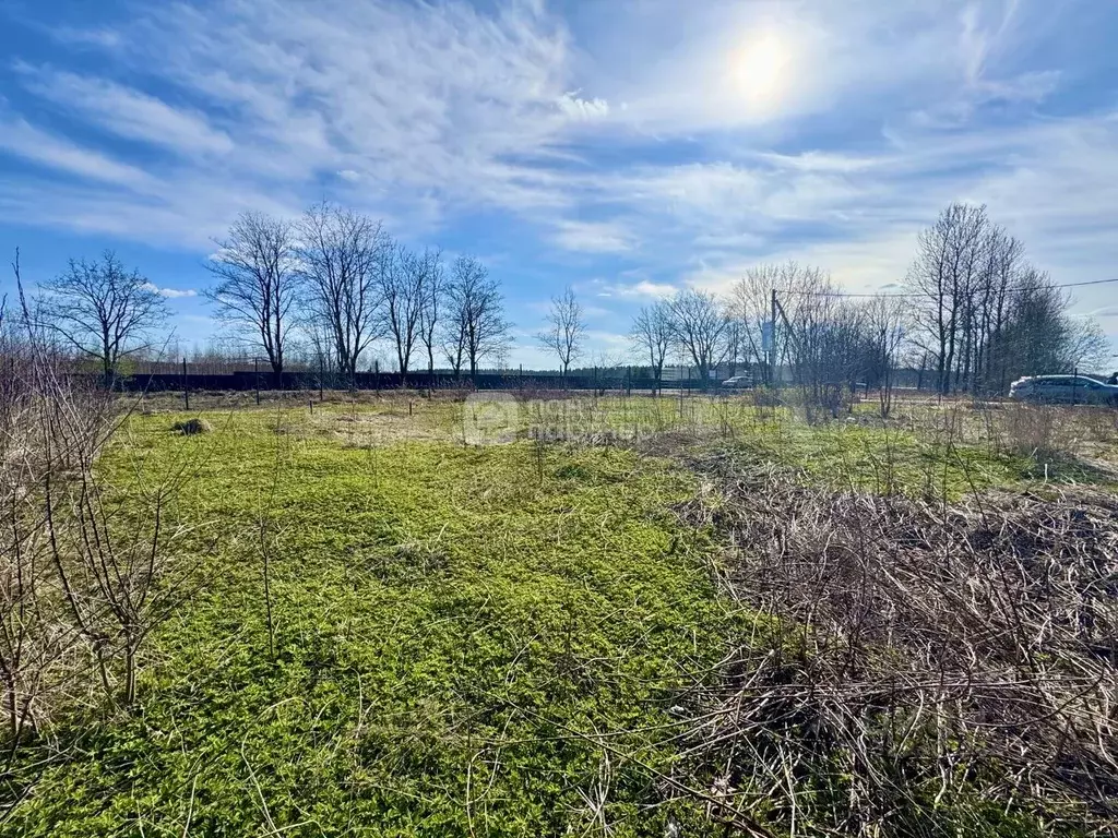 Участок в Ленинградская область, Гатчинский муниципальный округ, ... - Фото 1