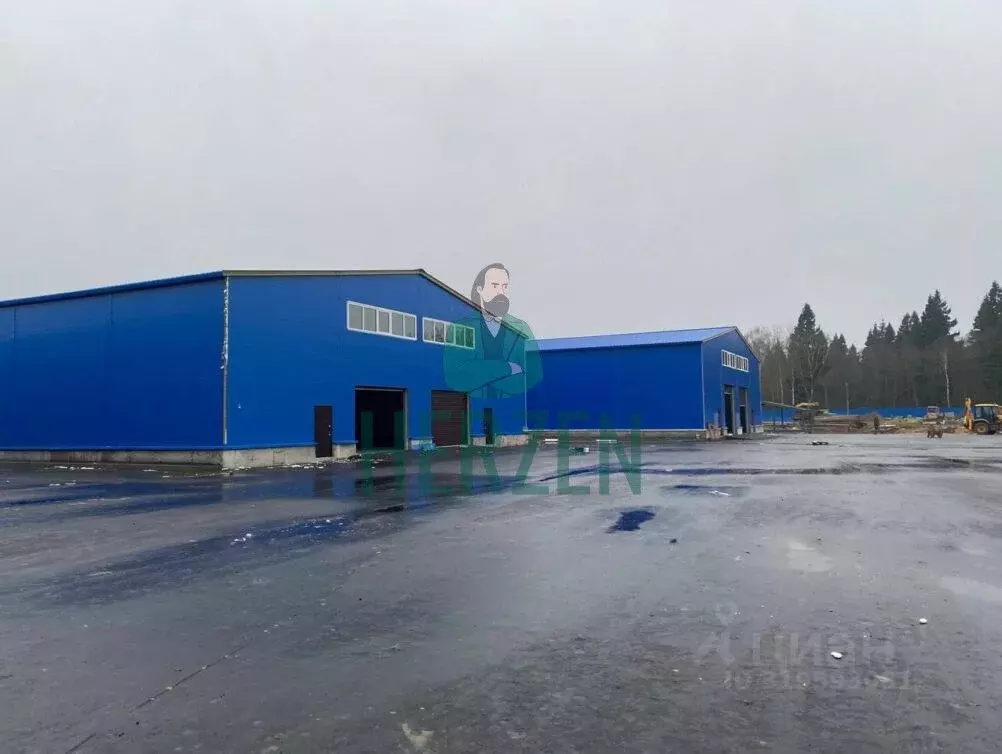 Склад в Московская область, Пушкинский городской округ, д. Григорково, ... - Фото 1