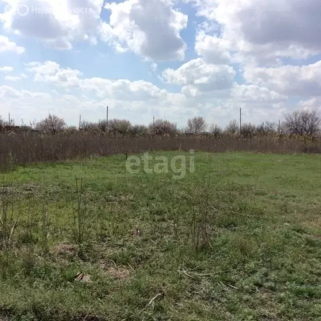 Участок в Ишимбайский район, село Скворчиха (10 м) - Фото 1