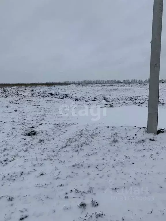 Участок в Белгородская область, Белгородский район, Головинское с/пос, ... - Фото 0