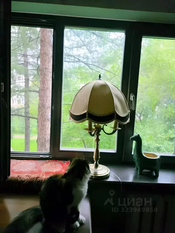 3-к кв. Свердловская область, Екатеринбург ул. Мичурина, 59 (57.1 м) - Фото 1