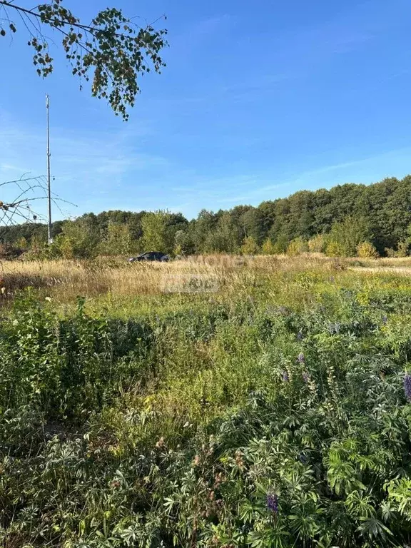Участок в Московская область, Старая Купавна Богородский городской ... - Фото 1