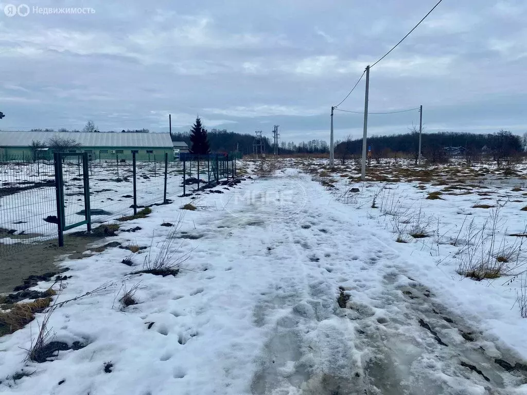 Участок в Калининградская область, Гурьевский муниципальный округ, ... - Фото 2