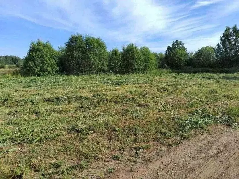 Участок в Кировская область, Киров городской округ, д. Петуховы 8 (9.0 ... - Фото 1