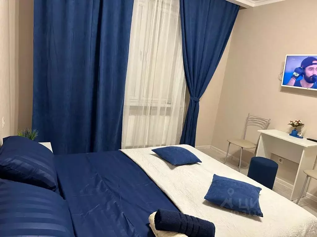 1-к кв. Московская область, Домодедово Южный мкр, ул. Курыжова, 25 ... - Фото 2