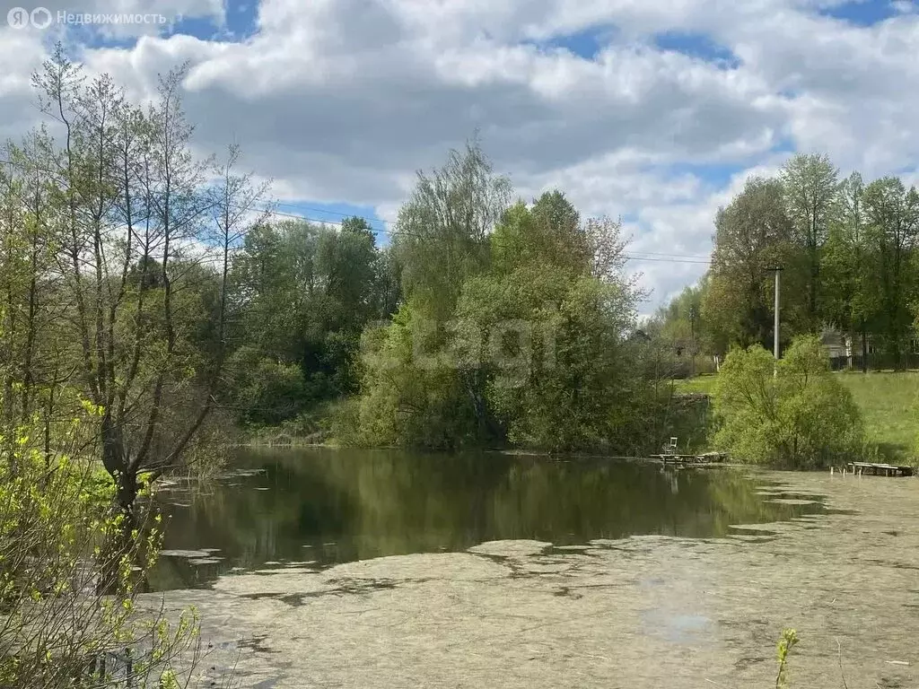 Дом в Московская область, городской округ Коломна, деревня Паново, ... - Фото 1