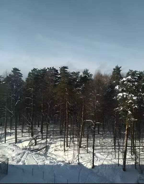 1-к кв. Московская область, Ленинский городской округ, Лопатино пгт ... - Фото 0