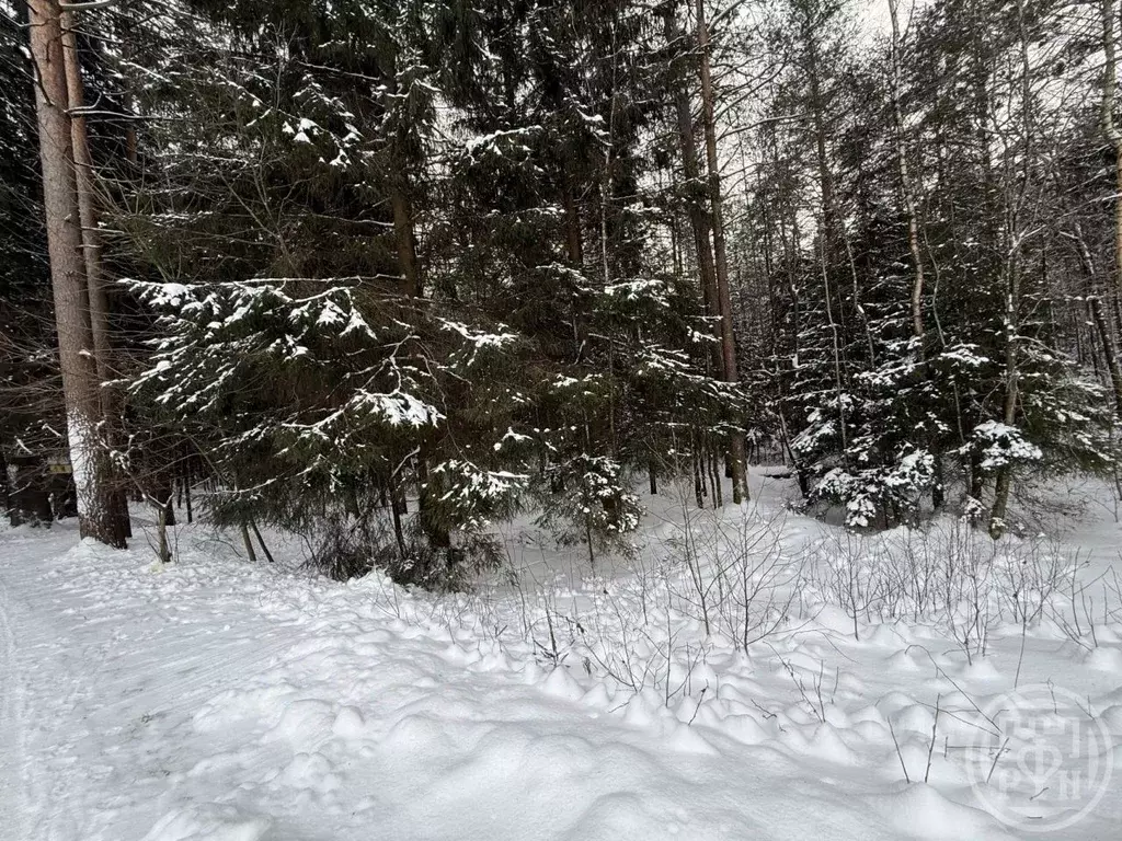 Участок в Ленинградская область, Выборгский район, пос. Первомайское ... - Фото 2