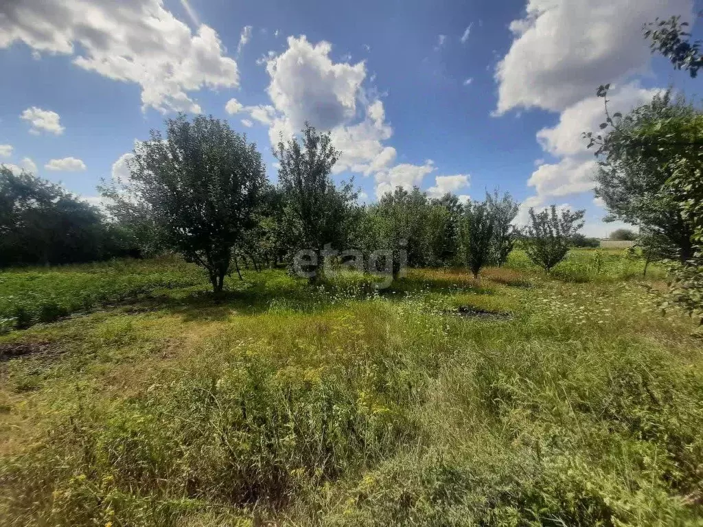 Участок в Белгородская область, Волоконовка рп, Колхоз мкр  (14.0 ... - Фото 0