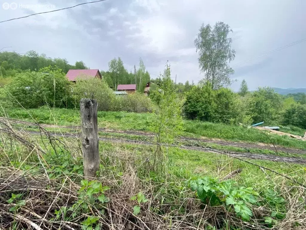 Участок в Горно-Алтайск, СНТ Бочкарёвка (8 м) - Фото 0