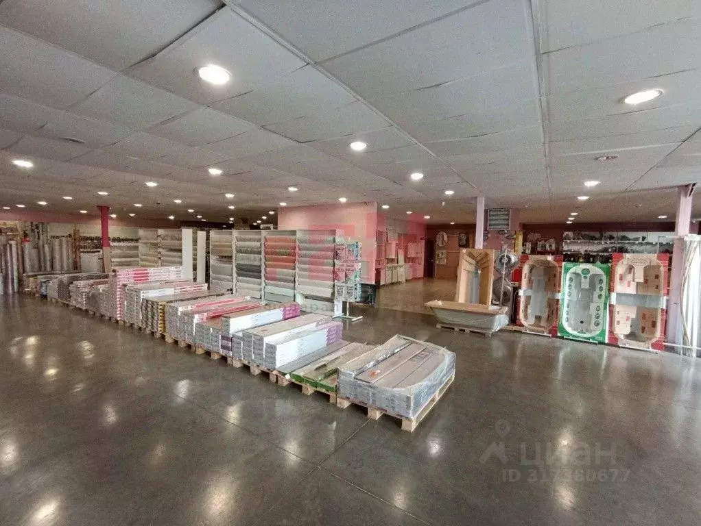 Торговая площадь в Курганская область, Курган ул. Радионова, 1А (644 ... - Фото 2