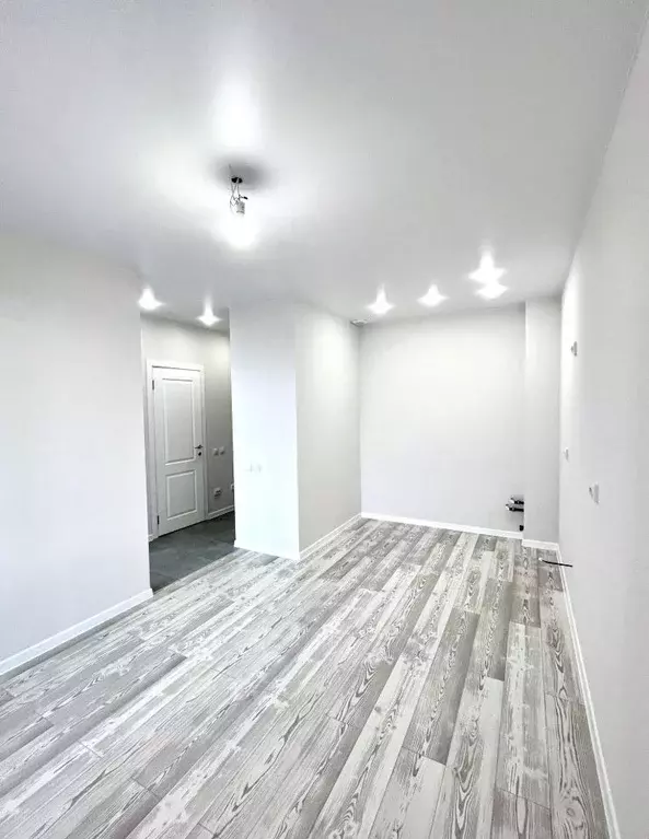 1-к кв. Ленинградская область, Ломоносовский район, Аннинское ... - Фото 1